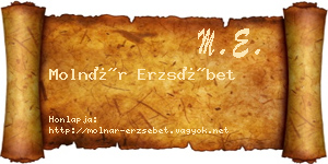 Molnár Erzsébet névjegykártya